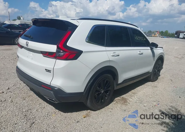 7FARS6H91PE006204: 42951230