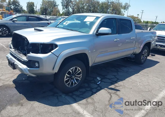 3TMDZ5BN8PM165444: 42951280