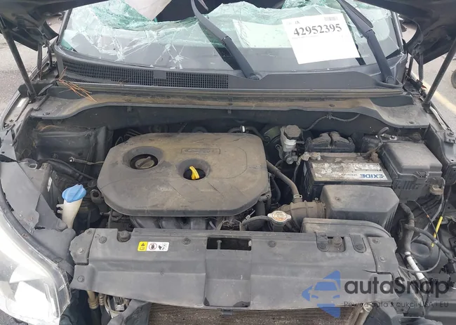 KNDJP3A51F7199331: 42952395