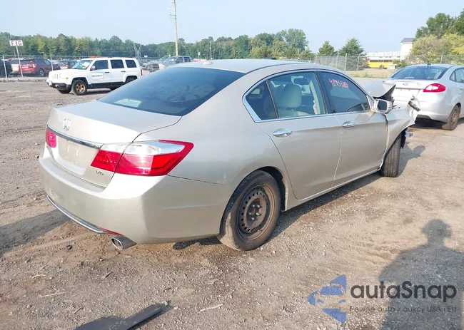 1HGCR3F85DA016164: 42953831