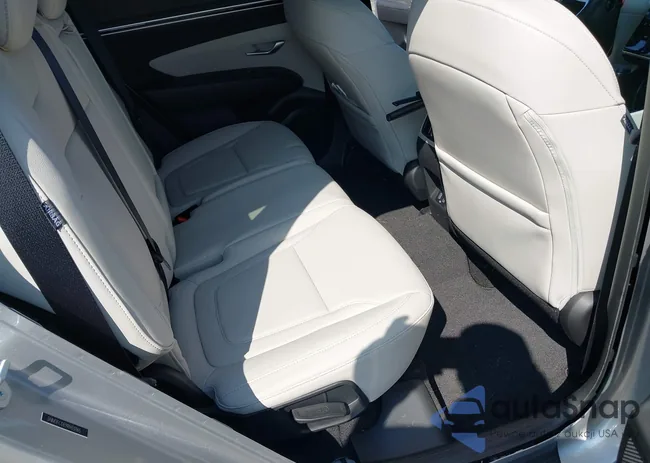 5NMJFCDE9RH331165: 42953944