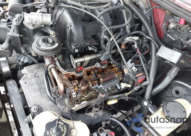 1FMZU67E73UB37431: 42954553