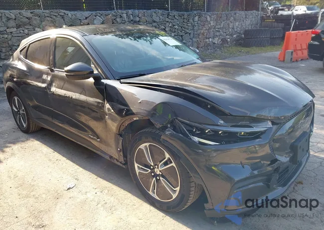 3FMTK1RMXMMA45819: 42954778