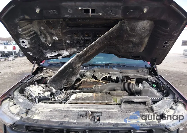 1FTFW1ED6MFD03135: 42954887