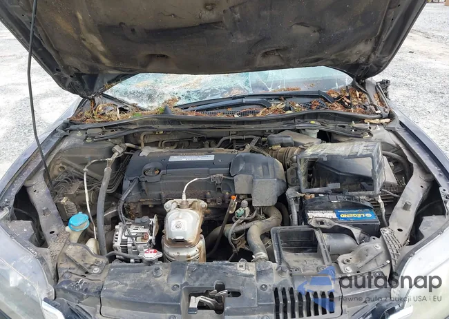 1HGCT1B86DA023006: 42955555