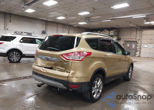 1FMCU9J9XEUD60617: 42955670