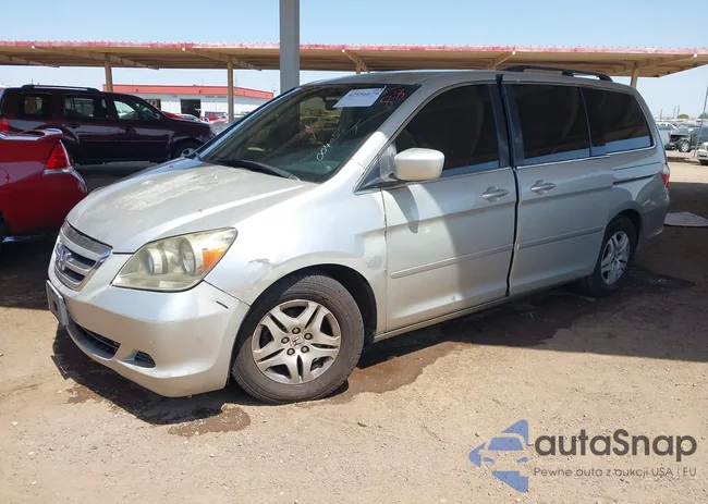 5FNRL384X5B004055: 42956679