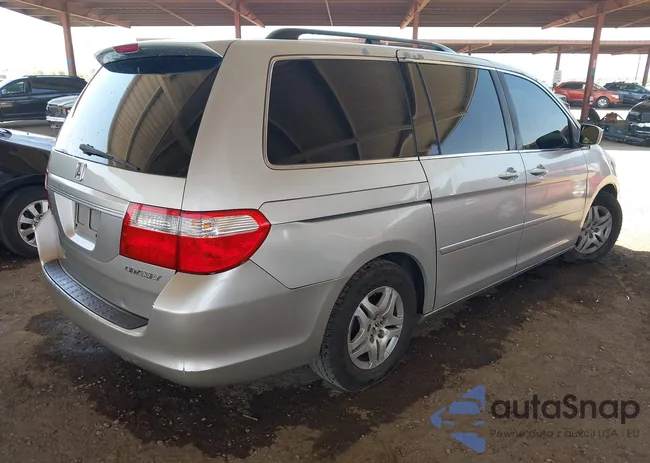 5FNRL384X5B004055: 42956679