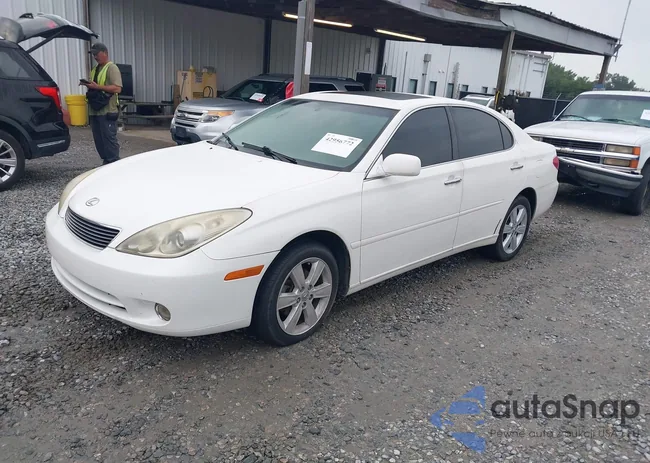 JTHBA30G855136082: 42956772