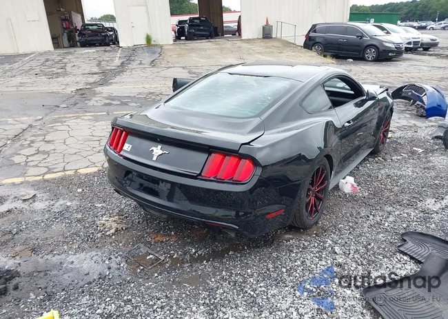 1FA6P8AM3H5226379: 42957727