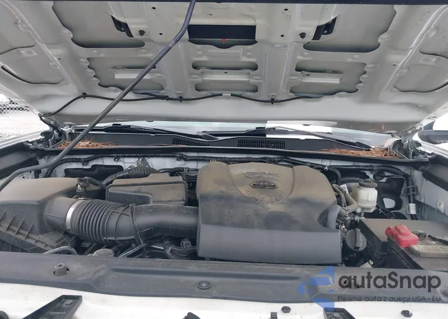 3TMDZ5BN9LM089842: 42958726