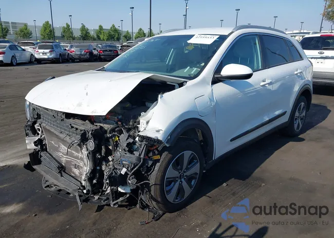 KNDCM3LD9K5343834: 42959533