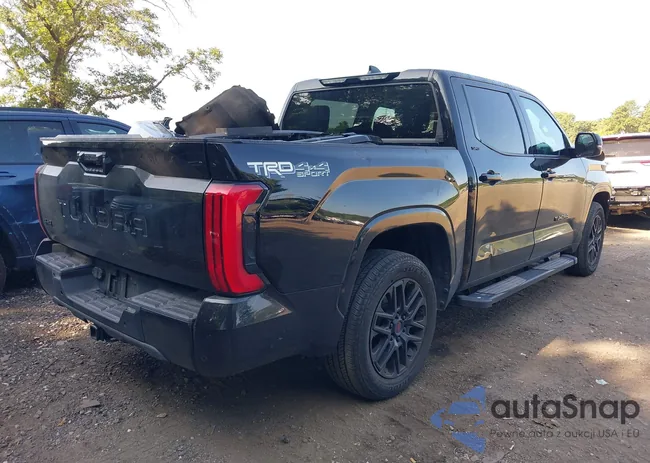 5TFLA5DB1PX096189: 42959746