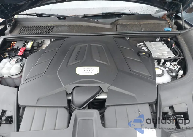 WP1AE2AY5KDA50599: 42961077