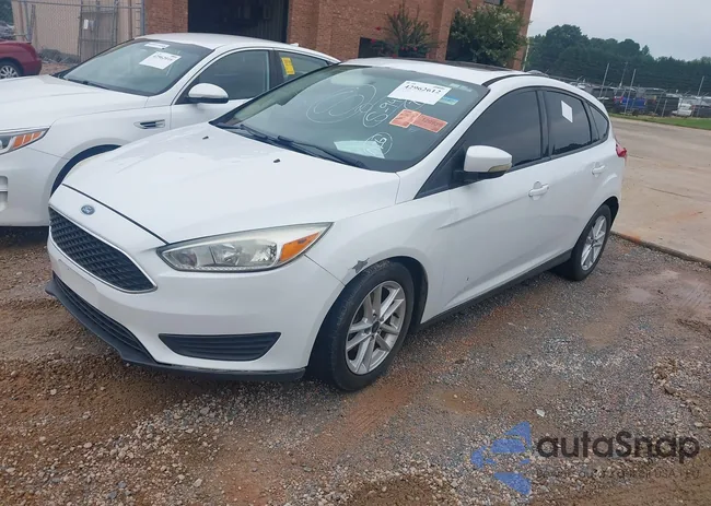 1FADP3K20GL290364: 42962612