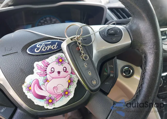 1FADP5CU1EL508286: 42962177