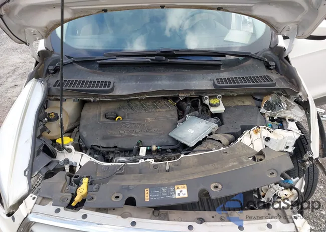 1FMCU0GD4JUA16380: 42963283