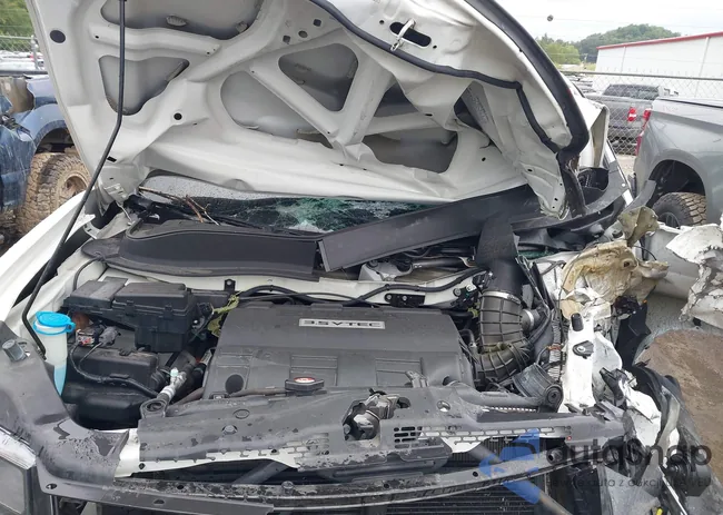 5FPYK1F67EB013276: 42965009