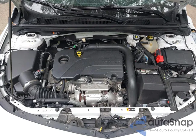 1G1ZD5ST5PF192936: 42966079