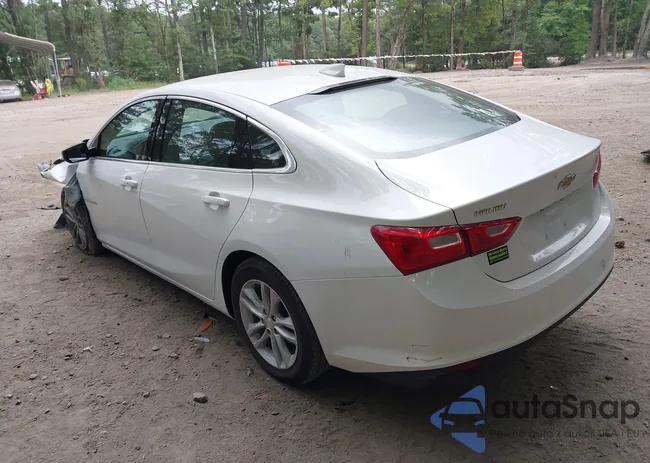 1G1ZD5ST5PF192936: 42966079