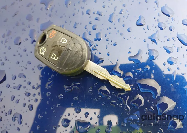 1ZVBP8AM7C5217876: 42966085