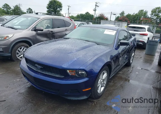 1ZVBP8AM7C5217876: 42966085