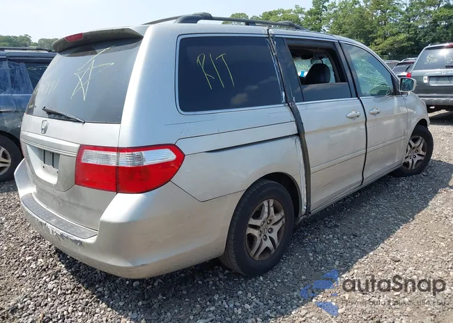 5FNRL38667B436825: 42967588