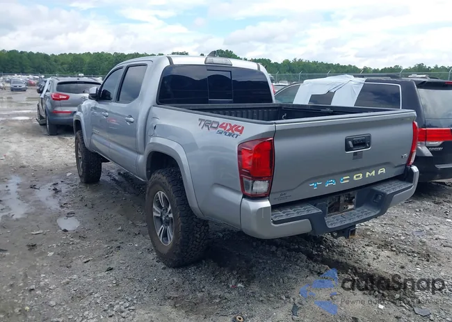 3TMCZ5AN8KM287646: 42969397