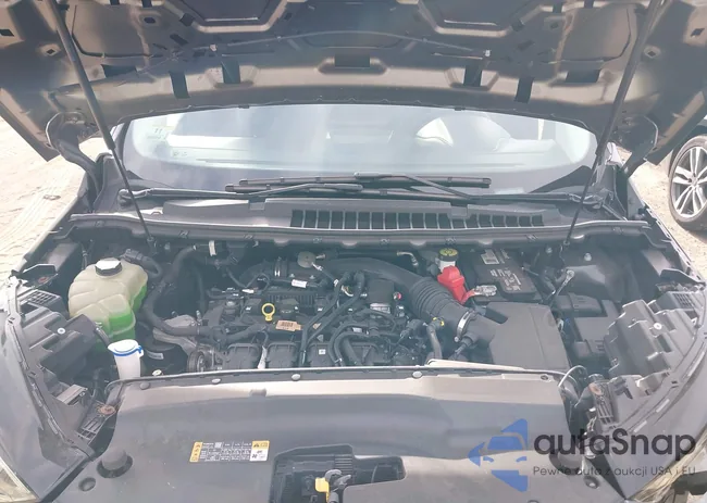 2FMPK4K95MBA03486: 42969792