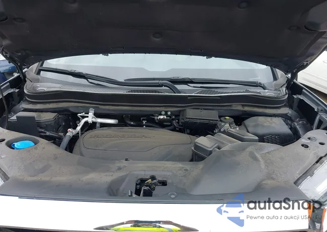 5FPYK3F71NB026304: 42969179