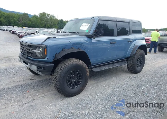 1FMEE0RR3RLB17247: 42971529