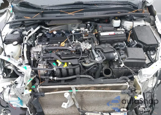 5YFP4RCE1LP005667: 42971137