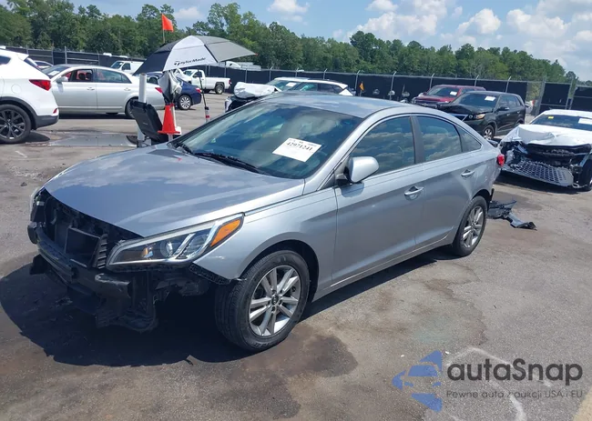 5NPE24AA0HH538632: 42971241