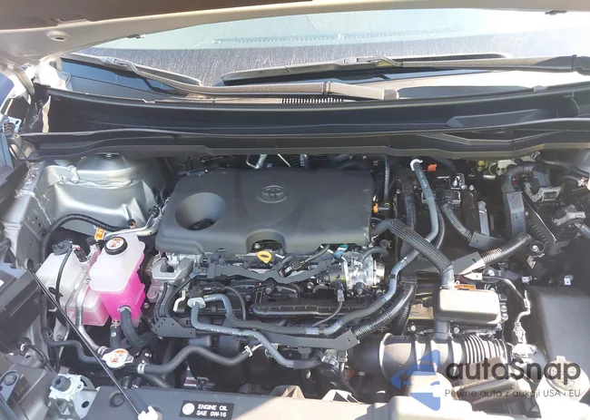 52DYRKEC7SS271600: 42972641