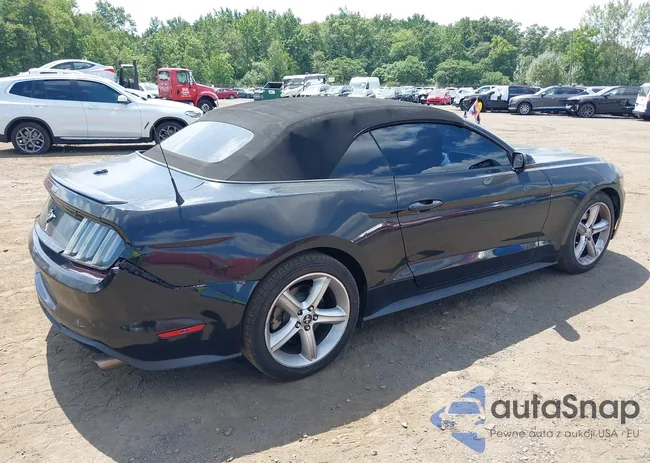 1FATP8UH8F5426656: 42972777