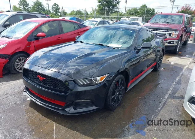 1FA6P8AM0G5321917: 42972343