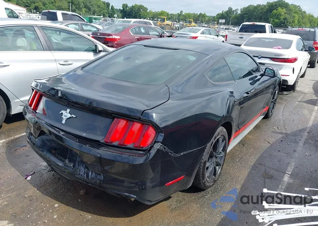 1FA6P8AM0G5321917: 42972343