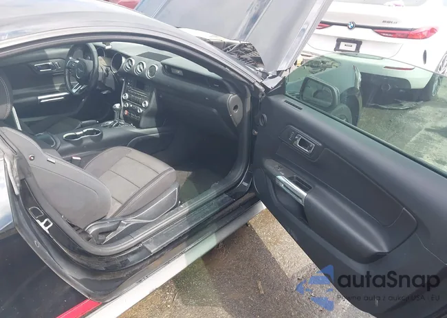 1FA6P8AM0G5321917: 42972343