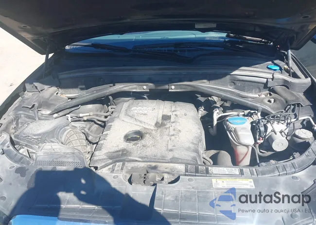 WA1LFAFP1BA065338: 42973643