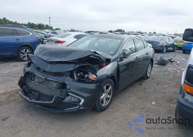 1G1ZB5ST8HF270438: 42974578