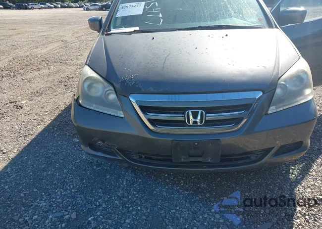 5FNRL38657B446178: 42975477