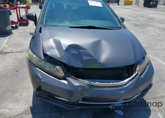 2HGFB2F51EH555885: 42975853