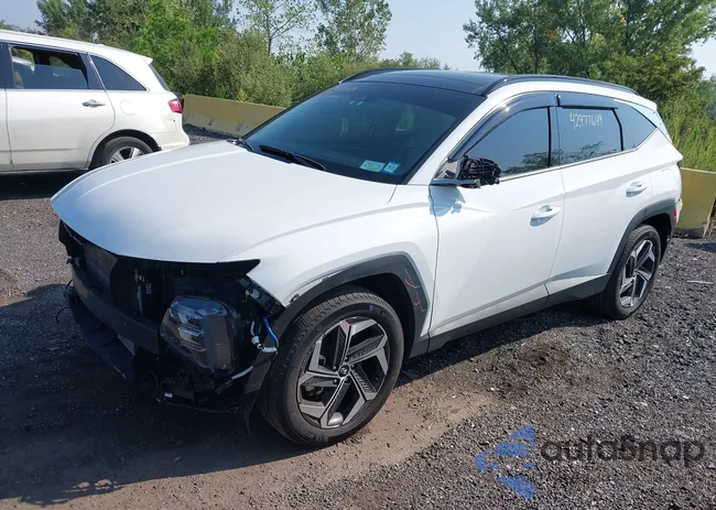 5NMJECAE0PH287805: 42977649