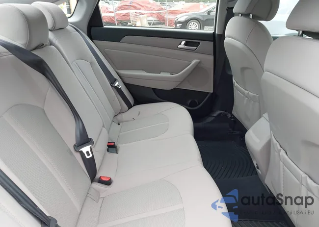 5NPE24AF9FH203555: 42979553