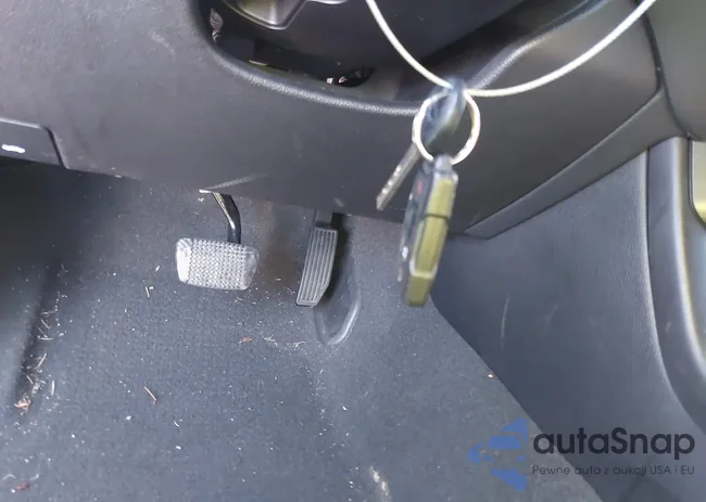 1GCGSCEAXN1299106: 42979943