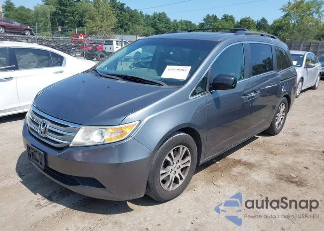 5FNRL5H6XBB101748: 42979985