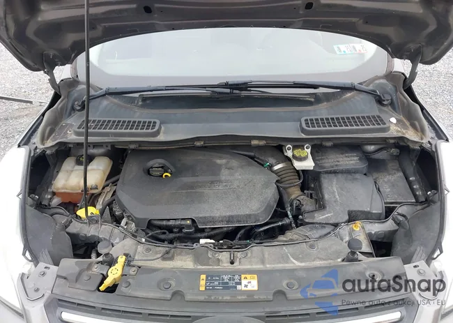 1FMCU0GX3EUE48006: 42980297