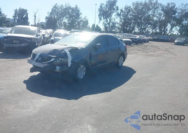 19XFB2F56EE007620: 42981420