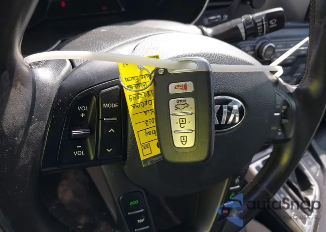 KNAGM4AD1D5055669: 42981640