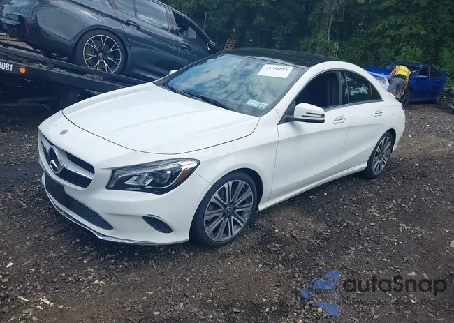 WDDSJ4GB4KN770685: 42981881